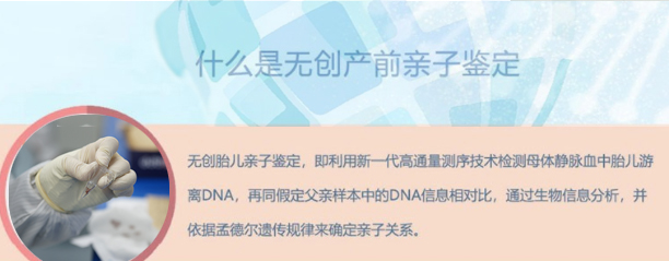 沈阳胎儿如何做亲子鉴定,沈阳怀孕DNA亲子鉴定如何办理 沈阳胎儿如何做亲子鉴定,沈阳怀孕DNA亲子鉴定如何办理