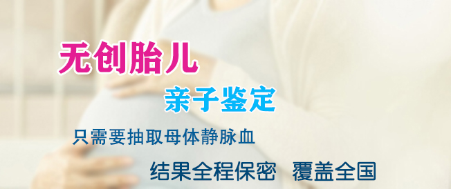 沈阳孕期亲子鉴定手续和流程,沈阳产前亲子鉴定中心咨询预约 沈阳孕期亲子鉴定手续和流程,沈阳产前亲子鉴定中心咨询预约