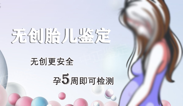 沈阳怀孕如何办理血缘检测,沈阳怀孕办理亲子鉴定办理流程 沈阳怀孕如何办理血缘检测,沈阳怀孕办理亲子鉴定办理流程
