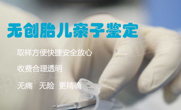沈阳胎儿如何做DNA鉴定,沈阳无创孕期亲子鉴定价格 沈阳胎儿如何做DNA鉴定,沈阳无创孕期亲子鉴定价格