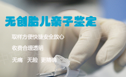 沈阳胎儿如何做DNA鉴定,沈阳无创孕期亲子鉴定价格 沈阳胎儿如何做DNA鉴定,沈阳无创孕期亲子鉴定价格